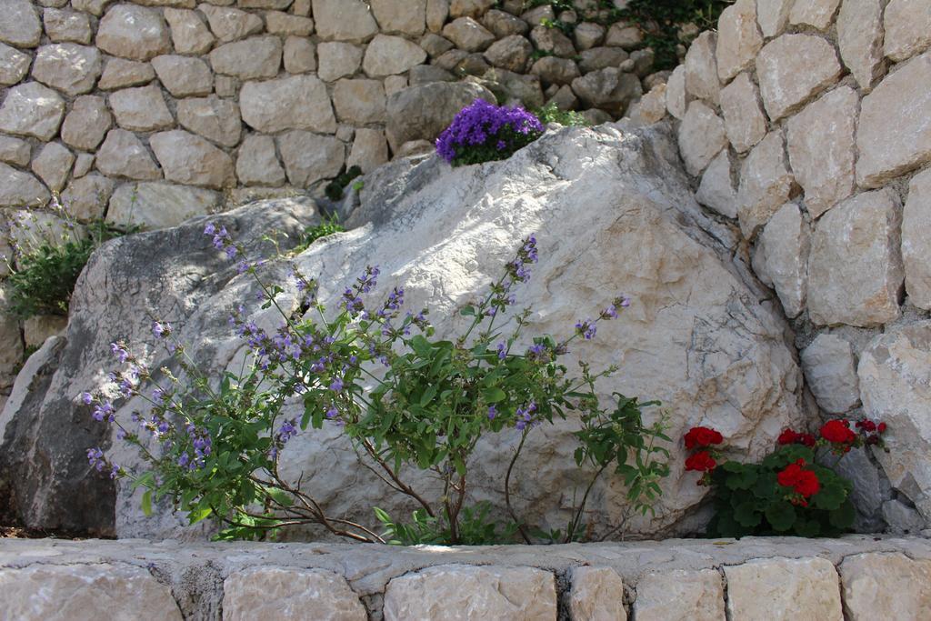 Apartments Lianto Drasnice Εξωτερικό φωτογραφία